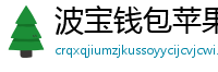 波宝钱包苹果版